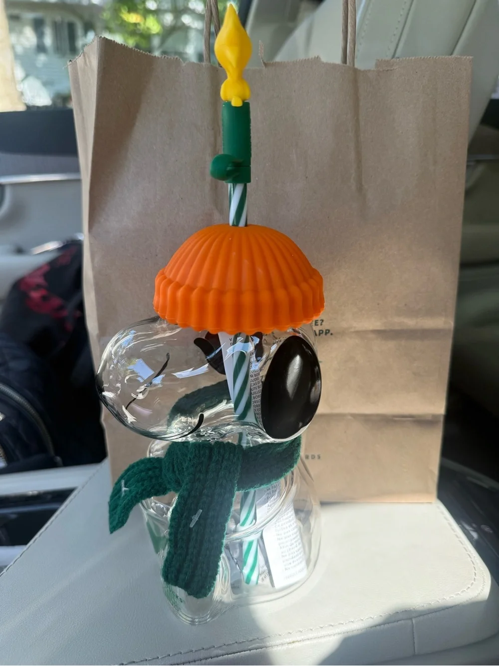 Snoopy 20 oz glass cold cup. Orange beanie, green scarf and Woodstock straw top